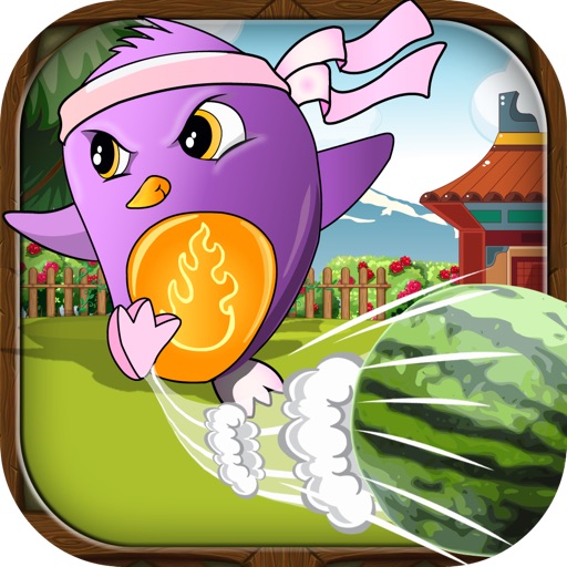 Epic Bird Ninjas - Fruit Slash - Free icon