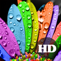 HD Wallpapers & Backgrounds for iPhone