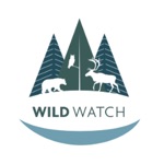 Wild Watch