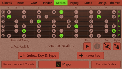 Guitarist's Reference Screenshot 5