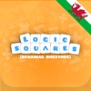 Logic Squares (Welsh Edition)