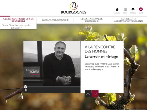 Les vins de Bourgogne screenshot 4