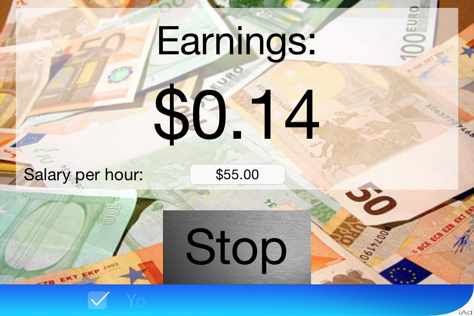 Salary Counter screenshot 4