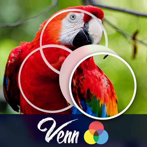 Venn Birds: Overlapping Jigsaw Puzzles