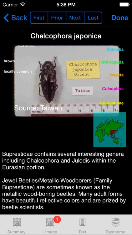 Beetles of the World - Coleoptera - A Beetle App screenshot-4