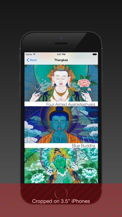 BuddhaPik screenshot-4