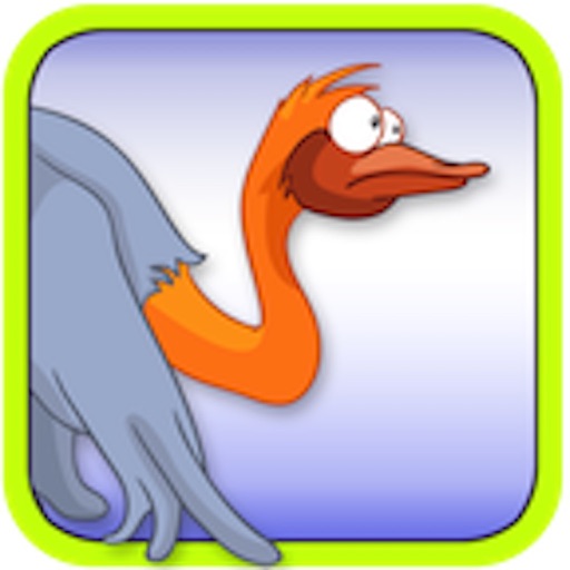 Ostrich Race - Fast Running Animal icon