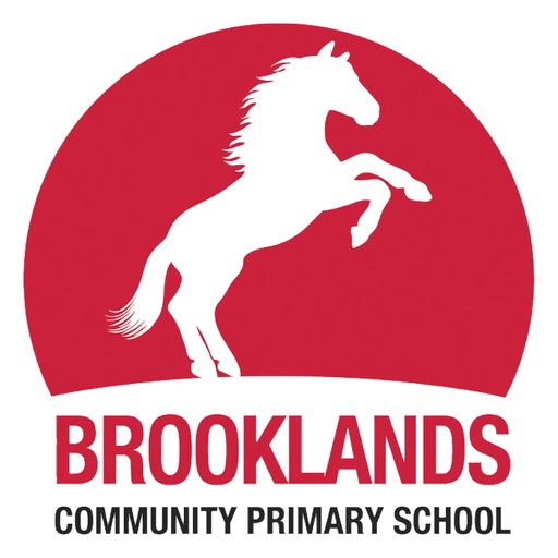 Brooklands Primary School icon