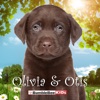 Olivia & Otis