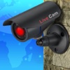 Live cams - 4000+ live cameras worldwidе FREE