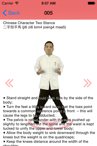 Wing Chun Siu Nim Tau Form screenshot 3