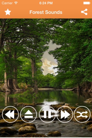 Forest Sounds Relax and Sleep-A Sleep making,Mind relaxing and Mind Therapy app screenshot 2