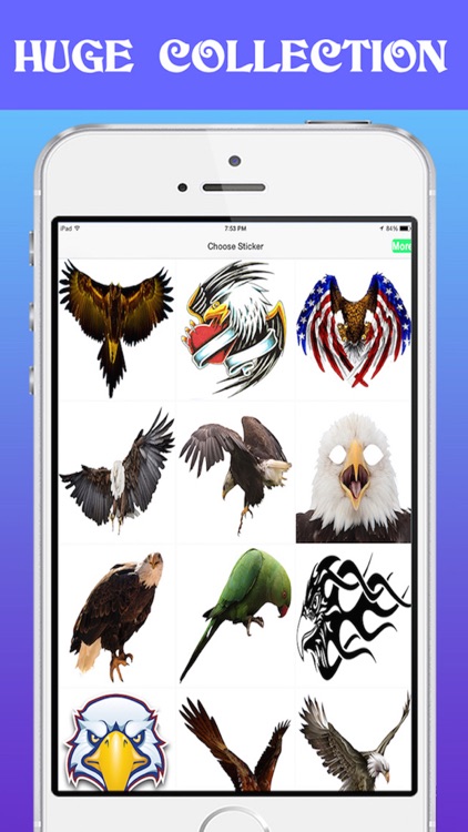 Selfie Fun Photo Maker- Make Prank of Images with Funky Bird Stickers screenshot-3