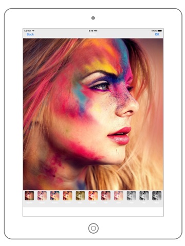 Royal Pic Editor For iPad screenshot 3