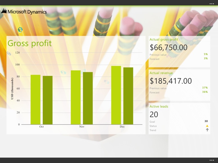 Microsoft Dynamics Business Analyzer screenshot-3