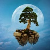 Bonsai Wallpapers HD: Quotes Backgrounds with Art Pictures