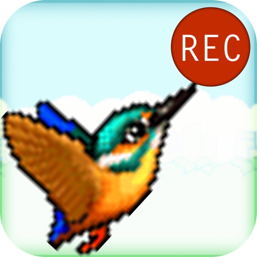 Catchy Bird - Capture those Flappy Wings icon