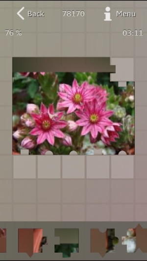 Medicinal Plants Puzzle(圖2)-速報App