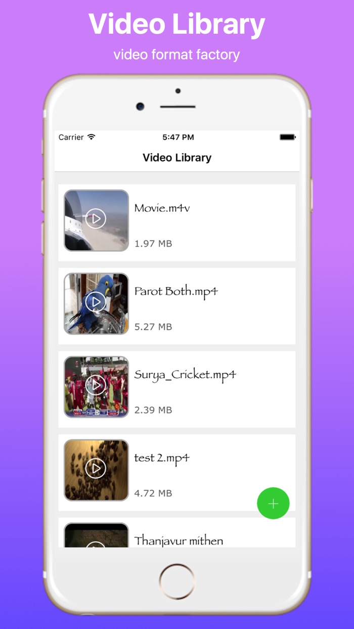 Video Converter and Audio Remover Pro