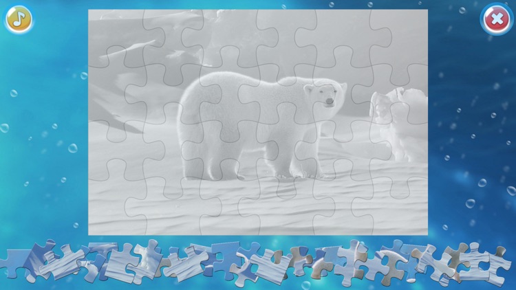 Arctic Animals Puzzle