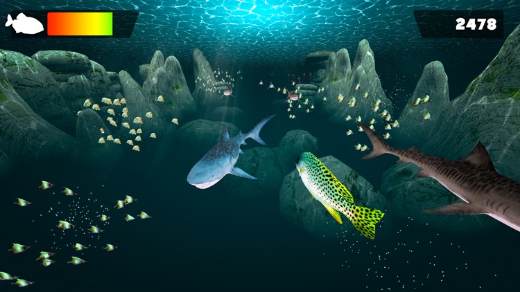 Fun Fish Simulator | 3D Fish Swimming Games For Free screenshot-4