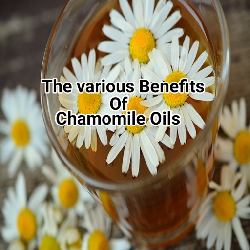 Chamomile oils icon