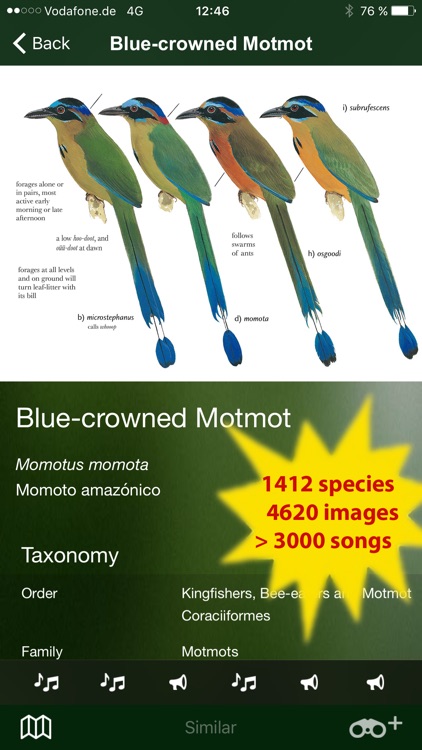 All Birds Venezuela - a complete field guide to identify all the bird species recorded in Venezuela
