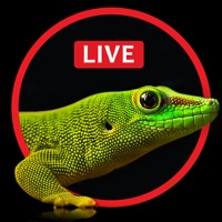 Live Wallpaper for iPhone 6s, 6s plus – Free Animated & Custom Dynamic Backgrounds pour PC