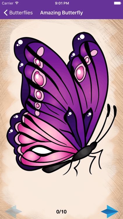 Artist Violet - How to draw Butterflies