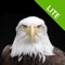 IM Lite is an easy to use app to view multi-gigabyte image files in unimagined quality