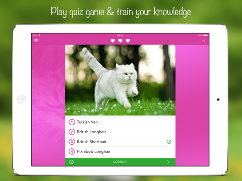 iKnow Cats 2 PRO - Cat Breed Guideのおすすめ画像4