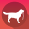 App Icon for Dog Walking - Training with your Dog (GPS, Walking, Jogging, Running) App in Hungary IOS App Store