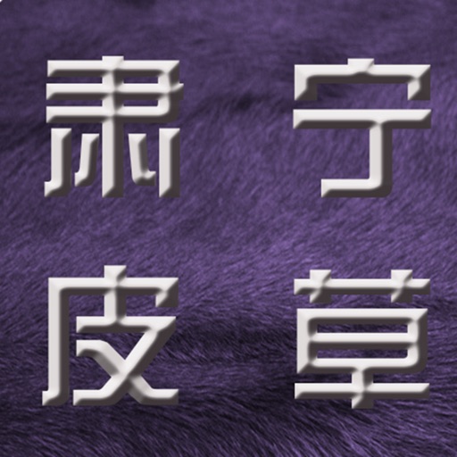 肃宁皮草平台 icon