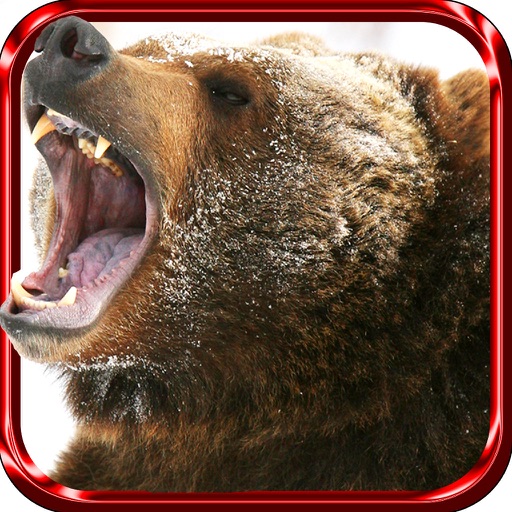 2016 Bear Hunting Night : Deadly Bear Hunting Games Play Hunter Pefect Shooting Season