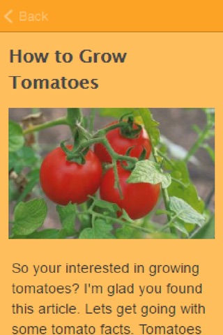How To Grow Tomatoes screenshot 3
