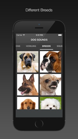 Dog Sounds - Free(圖4)-速報App
