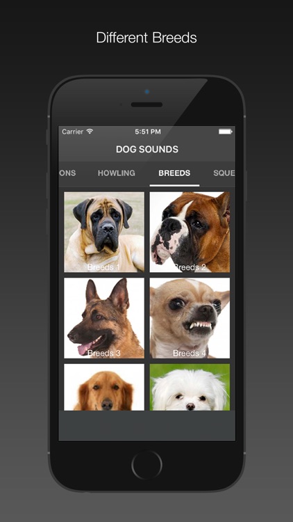 Dog Sounds - Free screenshot-3
