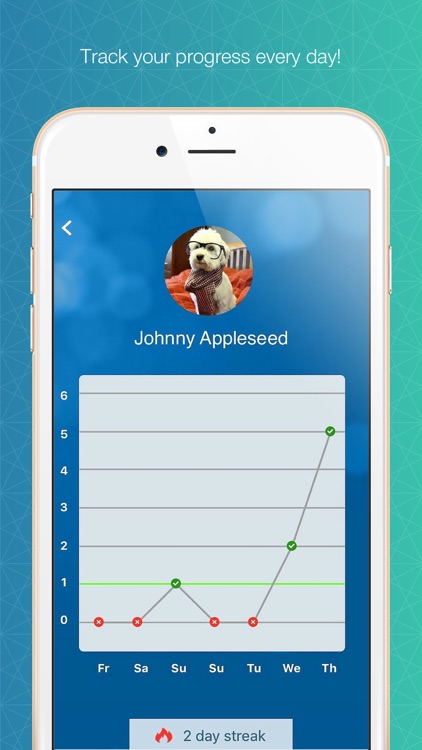Chiro Board Review screenshot-3