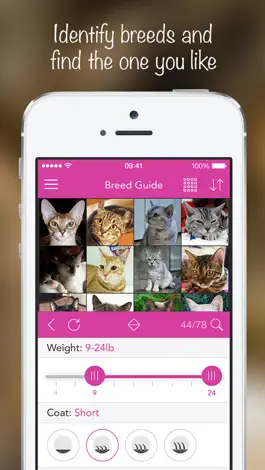 Game screenshot iKnow Cats 2 PRO - Cat Breed Guide apk