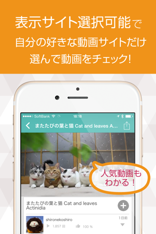 ねこ猫動画 - 猫の最新動画まとめ for YOUTUBE screenshot 2