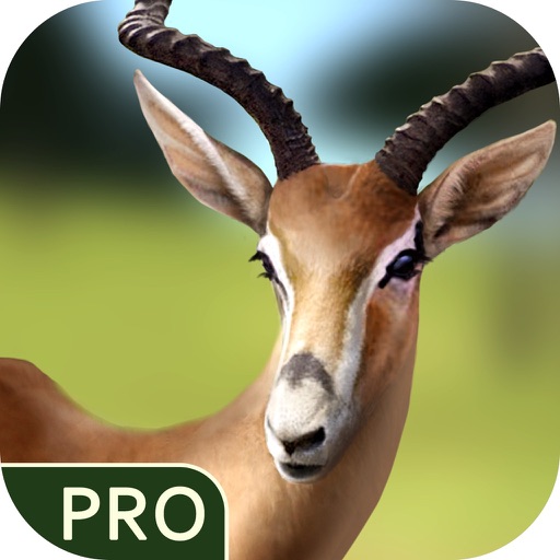 Survive in Jungle Pro iOS App