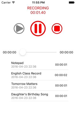 Recorder: Elegant Recording screenshot 2