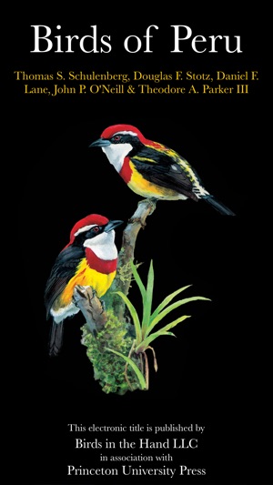 Birds of Peru