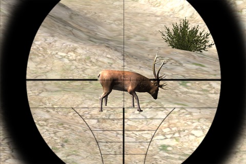 Wild Deer Sniper Hunter 2016 screenshot 3