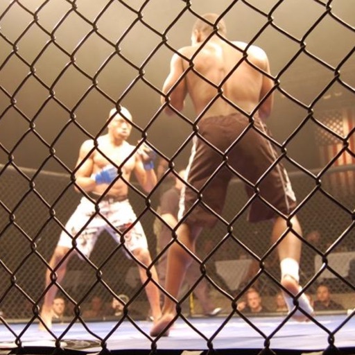 Cage Fighting Photos and Videos - Wildest fighting sports on the planet icon
