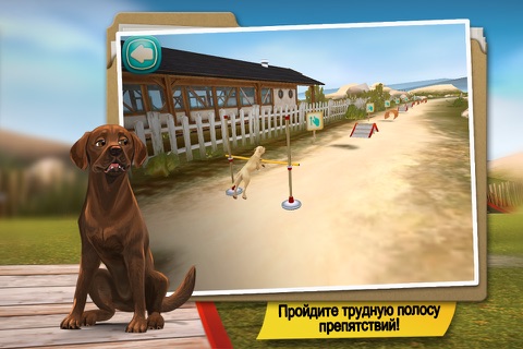 Dog Hotel - Play with dogs screenshot 2