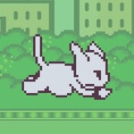 Le Kitten  The Adventure of Hoppy Cat
