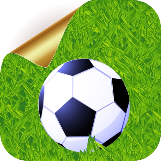 Euro 2016 Soccer Puzzle Icon