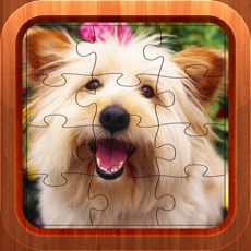 Activities of Cute Dog Jigsaw Puzzles for Kids - Animal Learning Fun Games