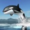 Orca Survival Simulator